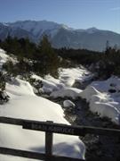 Winterimpressionen vom Mieminger Plateau